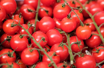 Tomatoes background