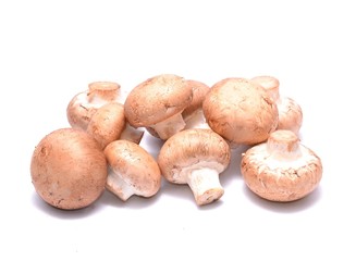 Champignon Mushroom isolated on white background