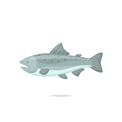 Obraz premium Salmon fish vector illustration