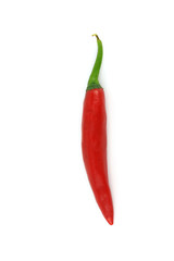 Red hot chili pepper isolated on white background