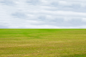 Green grass texture blue sky background with copy space. For lawn.