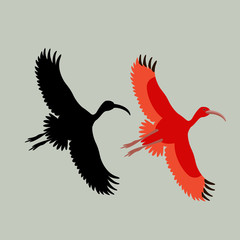 scarlet ibis vector illustration style Flat  black silhouette