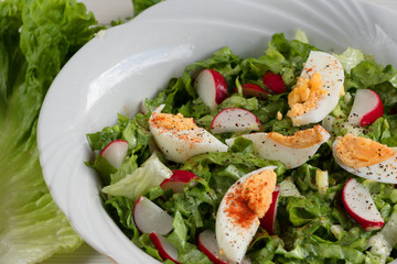 Close-up side view a colorful plate of green salad with lettuce, tomatoes, cucumber, onion, radishes and olives on white wooden board. Healthy food and eating concept. Fresh green salad background.
