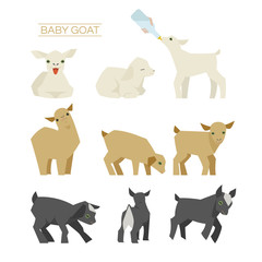 baby goat illustration set