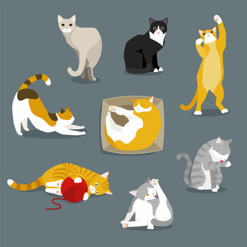 cute cats flat design illustration set