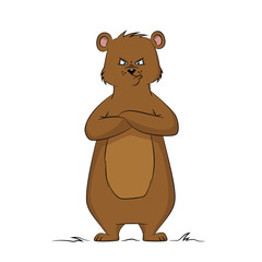 Illustration of an angry bear against white background