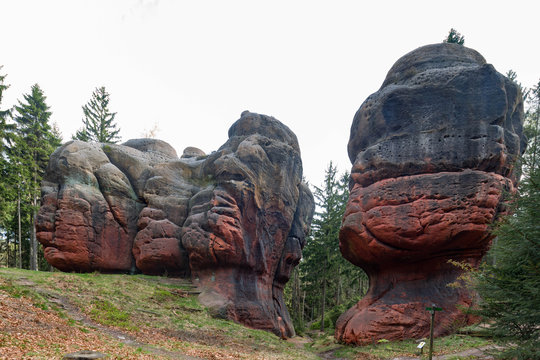Kelchstein in Oybin