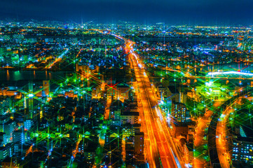 The image of the night city from the height of a bird's flight.