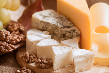 Fototapeta na wymiar Set of cheese and walnuts