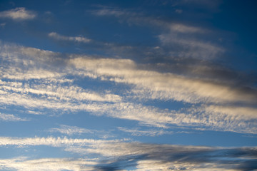 夕方の羊雲