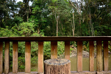 Timber chair in the forest
