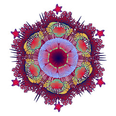 Obraz premium Hexagonal ornament with crabs, starfish and actinia in Art Nouveau style. Intricate composition, bright colours. Mandala tatoo. Textile print. EPS10 vector illustration.