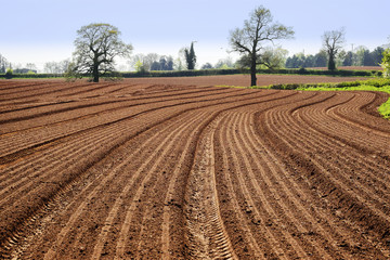 red sandstone soil farm warwickshire midlands england uk


