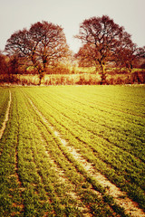 red sandstone soil farm warwickshire midlands england uk

