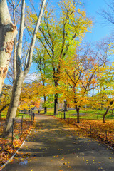 Autumn in Central Park, NYC, USA