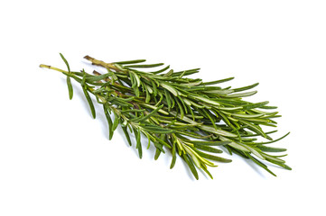Fototapeta premium A beam of green rosemary branches isolated on white background.