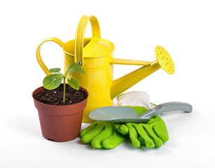 gardening tools and potted plant isolated on white background