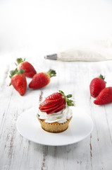 Strawberry Cream