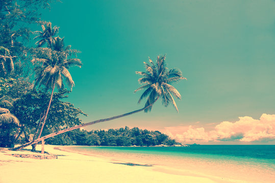 Vintage Beach Background