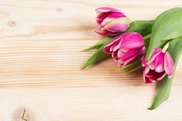 Three pink tulips on a light wooden board