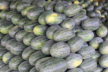 Many big sweet green watermelons in the fruit market.