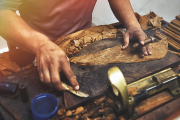 Closeup of hands making cigar from tobacco leaves. Traditional manufacture of cigars. Dominican Republic
