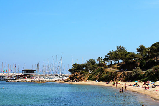 beach, port and pine trees - Lavandou- Bormes - French Rivieraa
