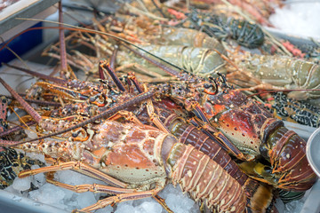 Fresh raw lobsters seafood at a food market