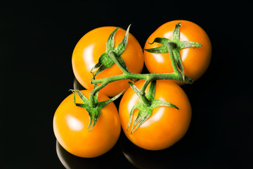 Yellow tomatoes on a branch isolated on a black background