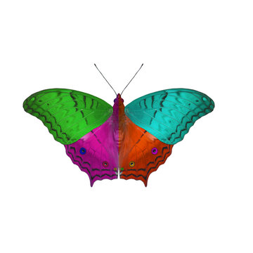 colorful of butterfly ,isolated on white