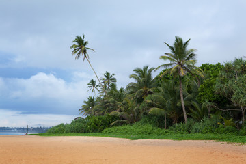 Экзотический пляж острова Шри-Ланка.