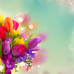 bouquet of bright spring flowers close up over dyed blue bokeh background