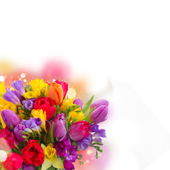 bouquet of bright spring flowers over white background