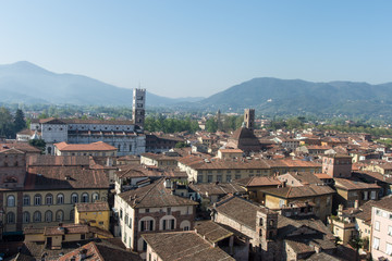 View fra Torre Guinigi, Lucca, Tuscany, Italy