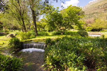 Fototapeta premium Piccola cascata nel giardino di Ninfa
