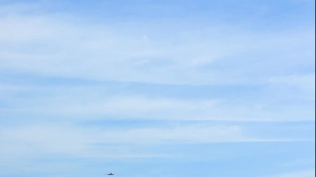 A bird is flying in front of low-flying aircraft.