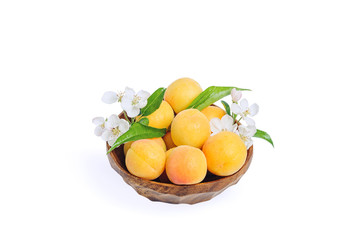 Fresh apricot in wooden bowl isolated on white background