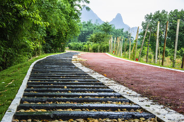 Countryside road scenery