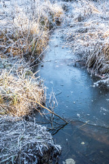Eine dicke Eisschicht überzieht das Moor