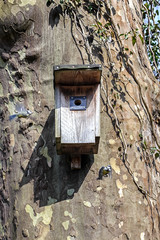 Birdhouse hanging on a tree