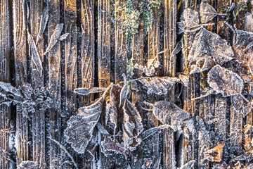 Frost und Eis auf dem Holzboden mit Laub