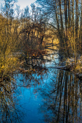 Mystische Lichtspiegelungen im Leutstettener Moos