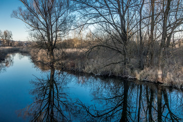 Bewachsenes Ufer der W&uuml;rm spiegelt sich im Wasser