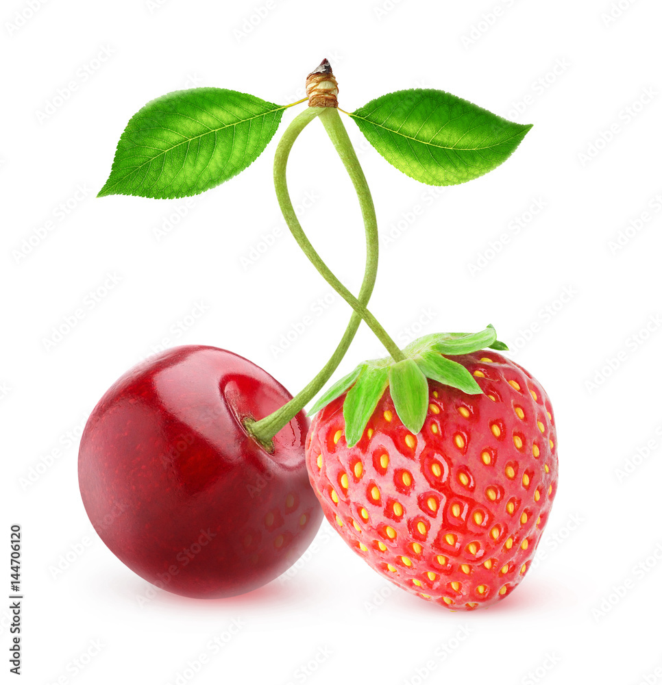 Poster isolated berries. sweet cherry and strawberry fruits on one stem isolated on white background with c