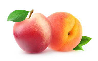 Isolated fruits. Whole peach and nectarine with leaves isolated on white background with clipping path