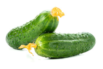 Two green cucumbers isolated
