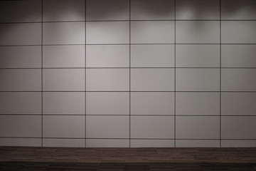 The grid on white wall and lighting.