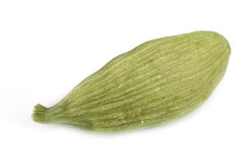 pod of green cardamom isolated