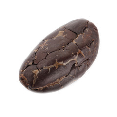 cacao corn isolated