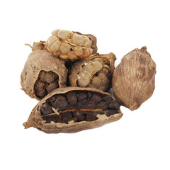 heap of black cardamom isolated